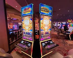 Software sportsbook dan slot online terintegrasi di kubutoto
